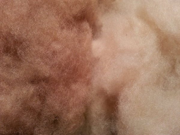 5 Steps to Making Camel Hair Fabric